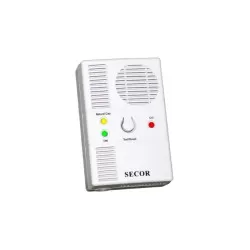 DETECTOR DE GAZ METAN SI MONOXID DE CARBON 12V