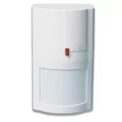 PIR radio - DSC WS4904