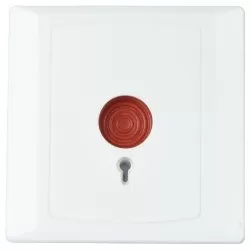 PXW EB-01, Buton panica ingropat, cu cheie