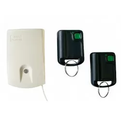 SET 2 TELECOMENZI + 1 RECEPTOR CU 1 CANAL